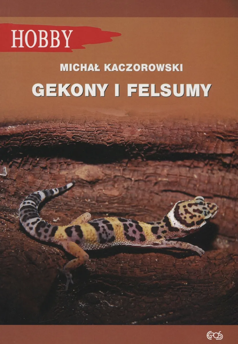 Gekony i felsumy
