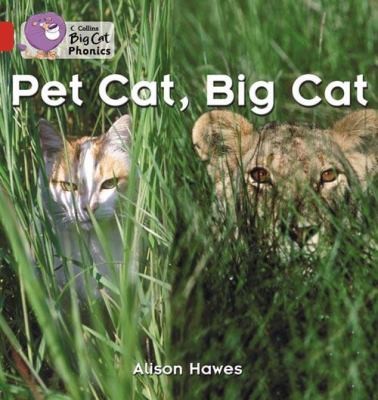 Pet Cat, Big Cat