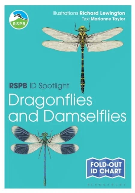 Dragonflies and Damselflies