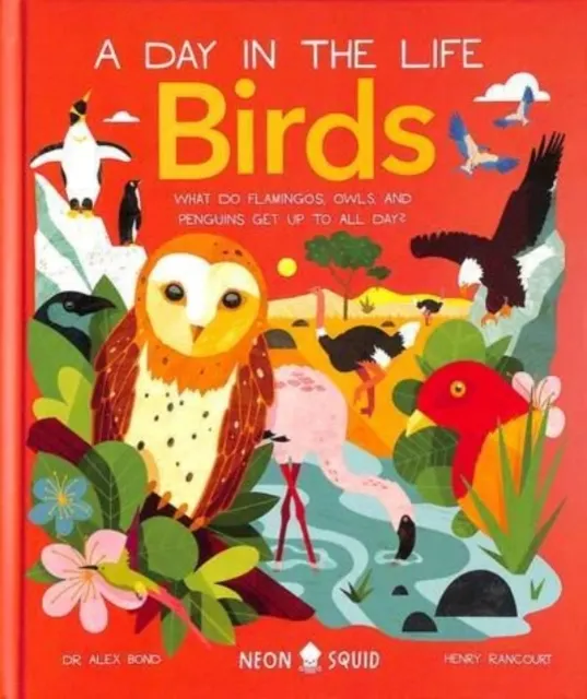 Birds: What Do Flamingos, Owls, and Penguins Get Up To All Day?