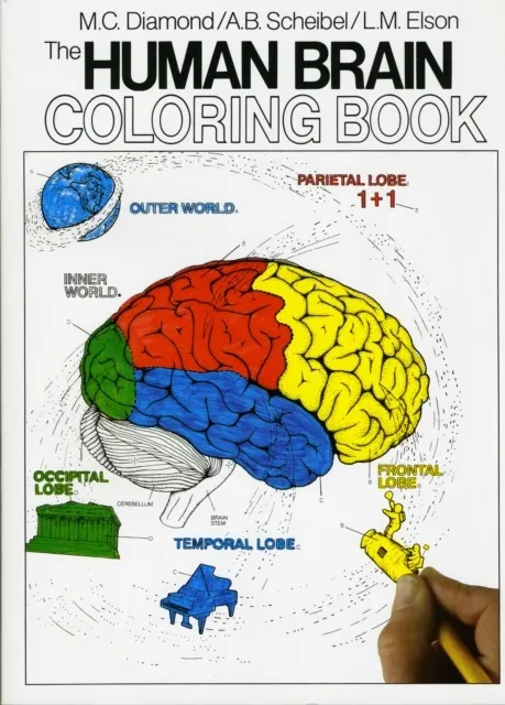 Human Brain Colouring Book