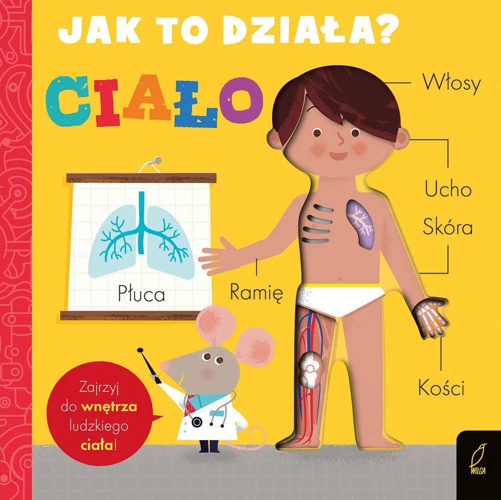 Ciało