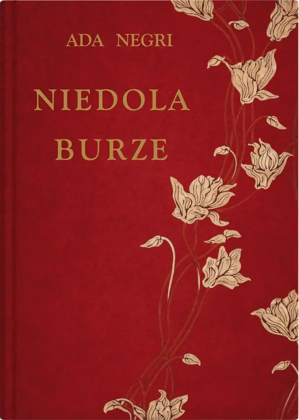 Niedola burze