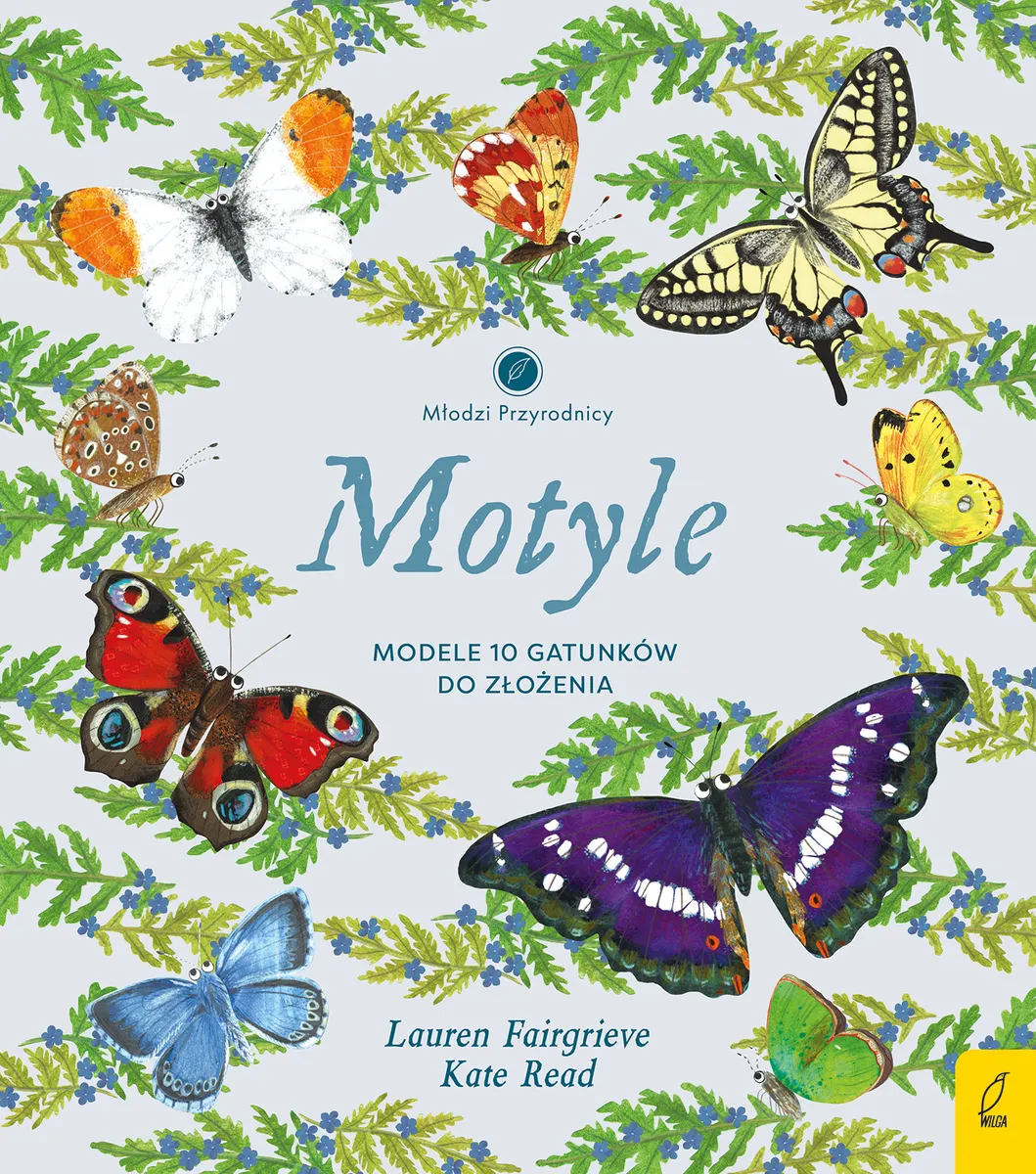 Motyle. Modele 3D