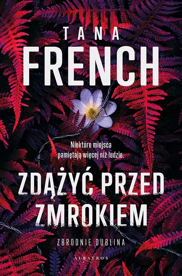 Zdążyć przed zmrokiem