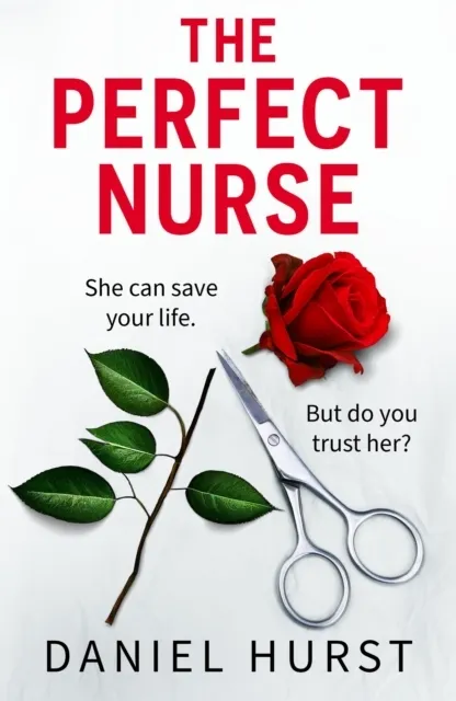 The Perfect Nurse