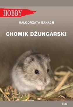Chomik dżungarski