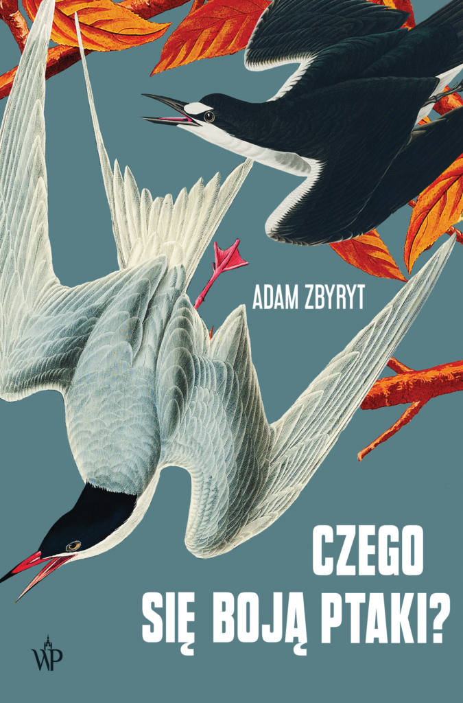 Czego się boją ptaki?