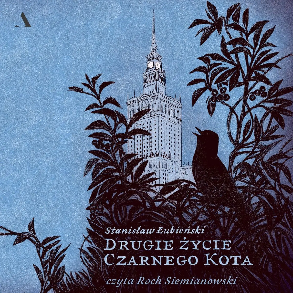 Drugie życie Czarnego Kota