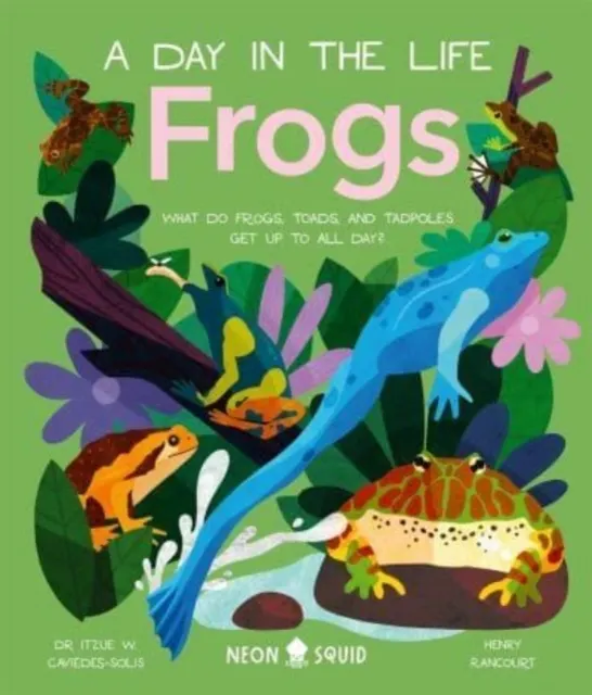 Frogs: What Do Frogs, Toads, and Tadpoles Get Up to All Day?
