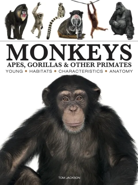 Monkeys