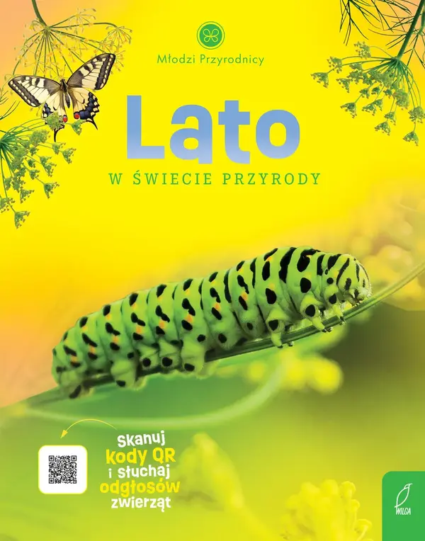 Lato w świecie przyrody