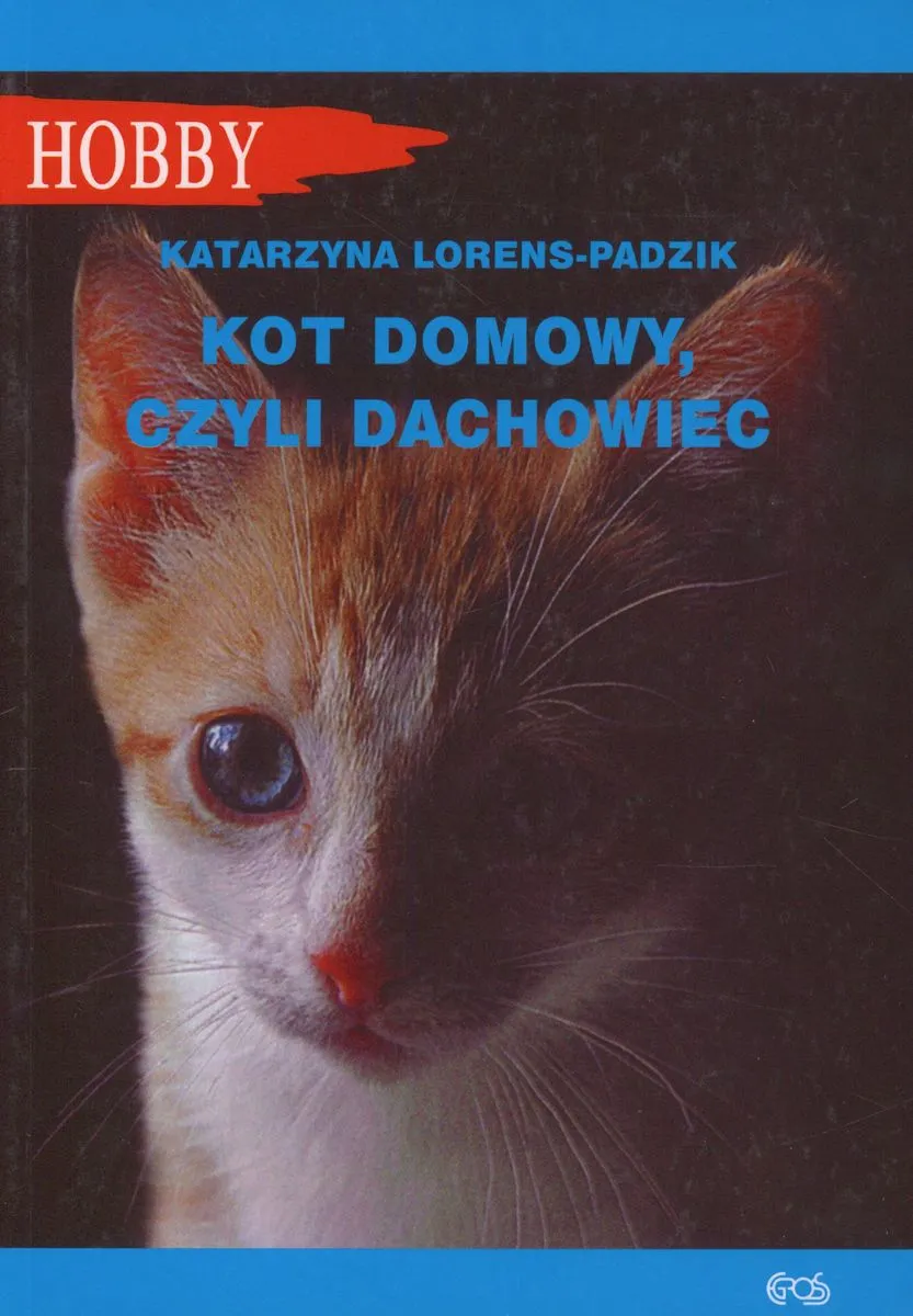 Kot domowy, czyli dachowiec