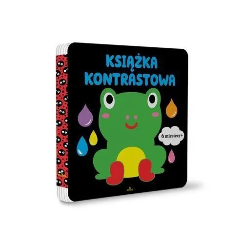 Książka kontrastowa 6+