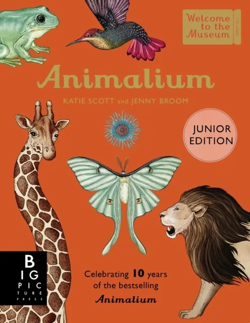 Animalium