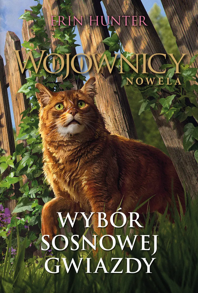 Wybór Sosnowej Gwiazdy. Cykl Wojownicy. Nowela
