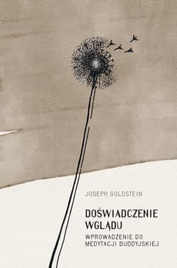 Doświadczenie wglądu