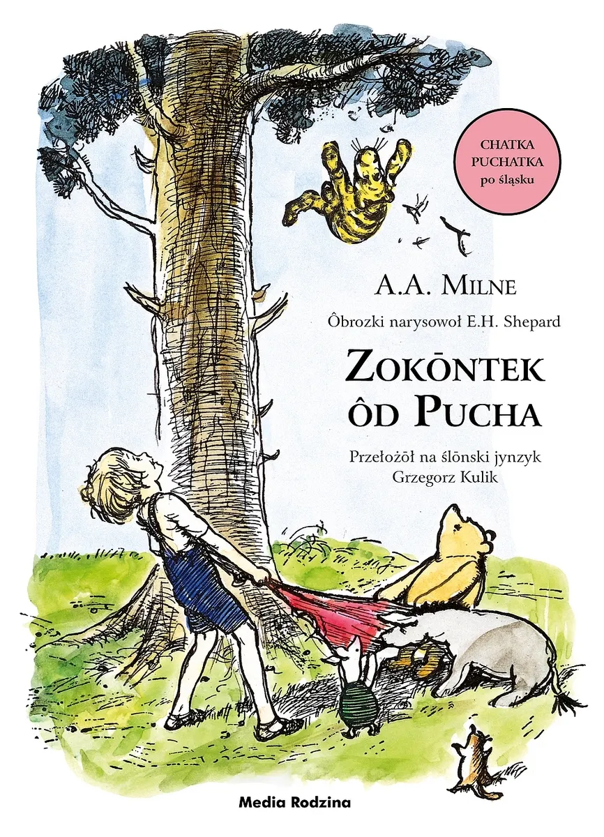 Zokontek ôd Pucha (Chatka Puchatka po śląsku)