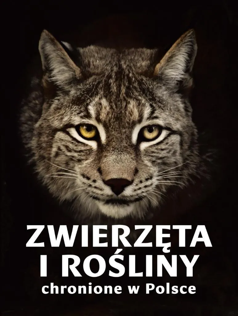 Zwierzęta i rośliny chronione w Polsce