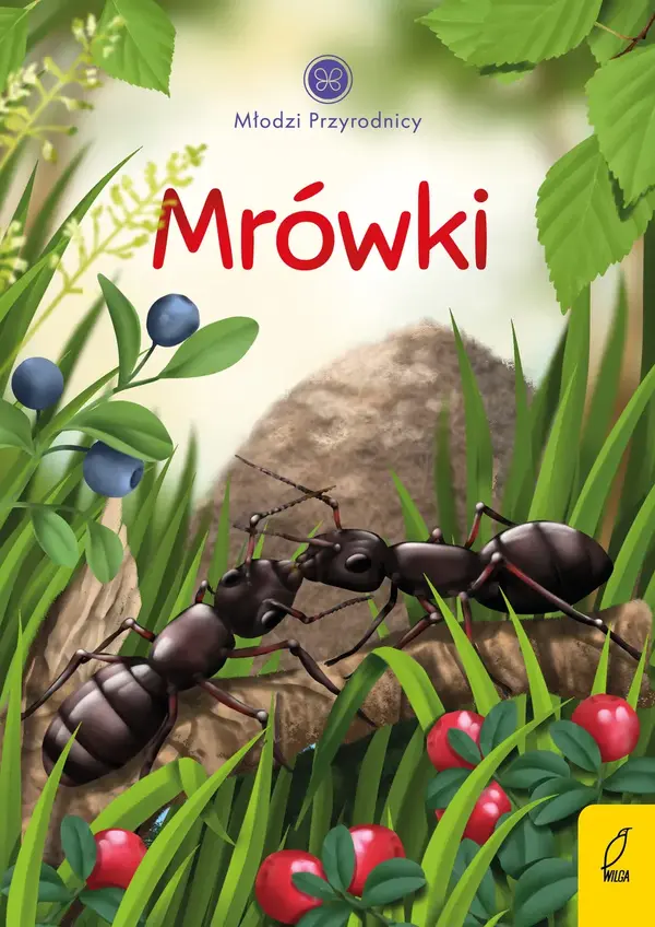 Mrówki