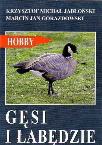 Mój króliczek miniaturowy