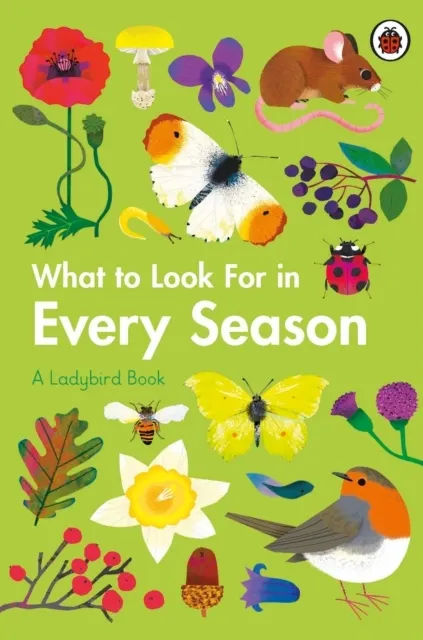 What to Look For in Every Season: Boxset