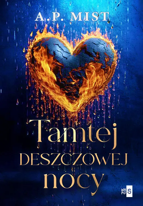 Tamtej deszczowej nocy