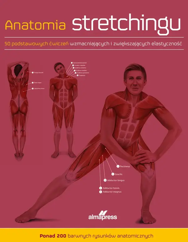 Anatomia stretchingu. 50 podstawowych ćwiczeń wzmacniających i zwiększających elastyczność