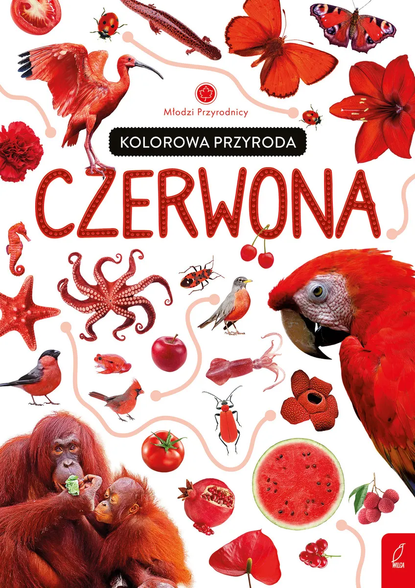 Kolorowa przyroda. Czerwona