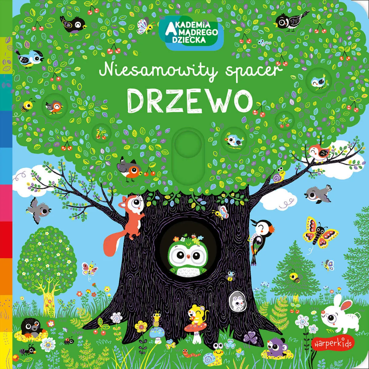 Drzewo. Akademia mądrego dziecka. Niesamowity spacer
