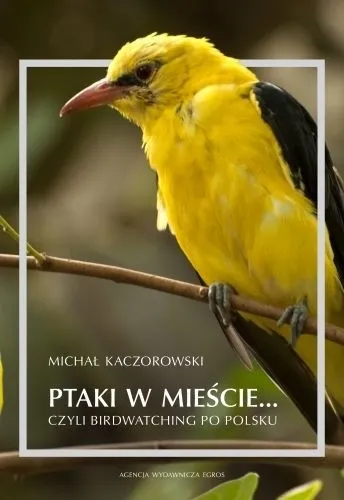 Ptaki w mieście... czyli birdwatching po polsku