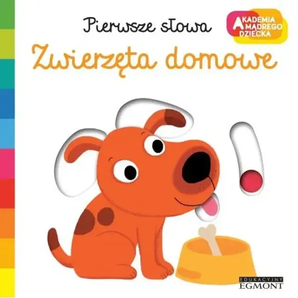 Zwierzęta domowe. . Pierwsze słowa