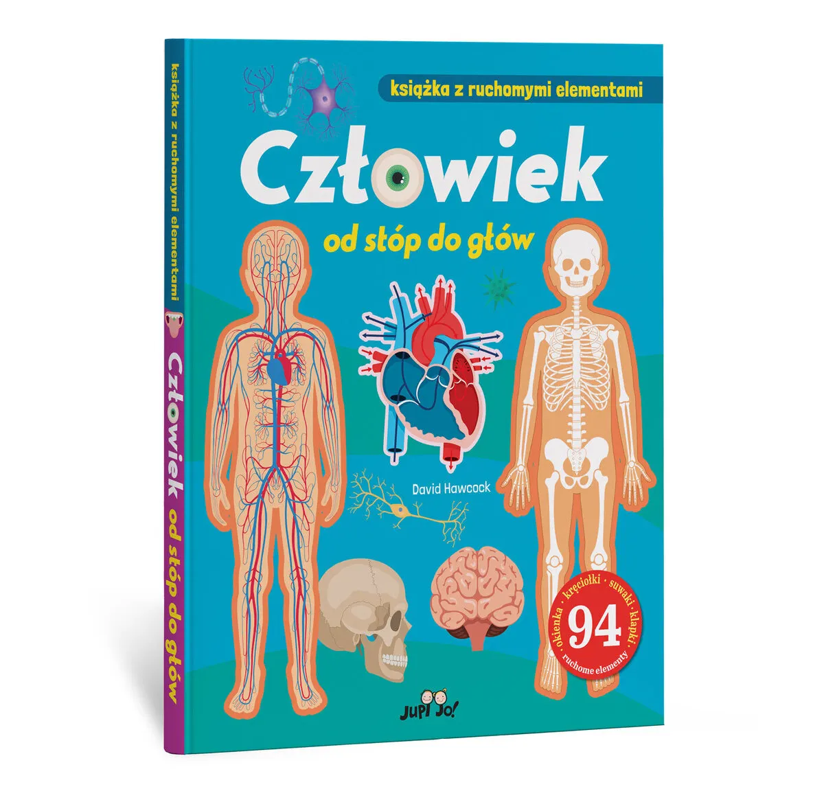 Człowiek od stóp do głów. Książka z ruchomymi elementami