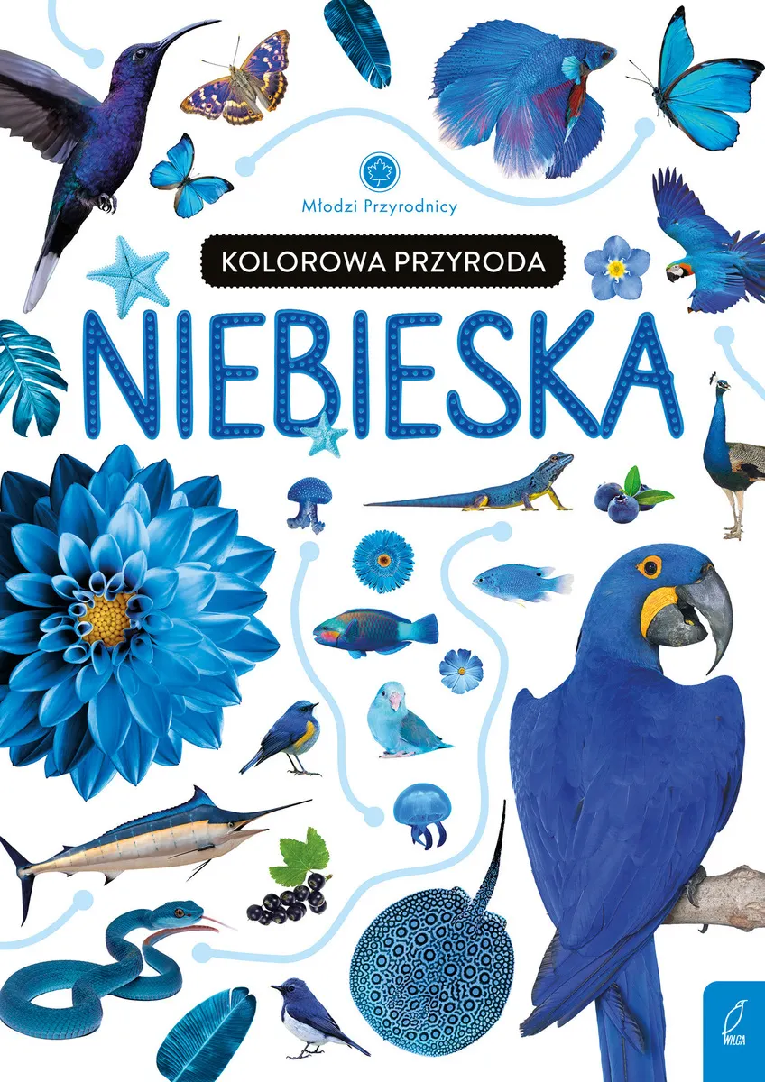Kolorowa przyroda. Niebieska