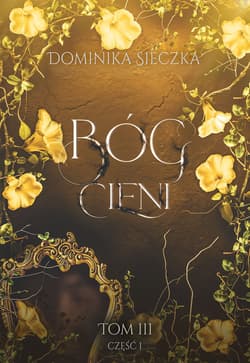 Bóg Cieni. Bogini. Tom 3. Część 1