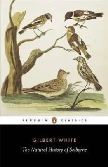 Natural History of Selborne
