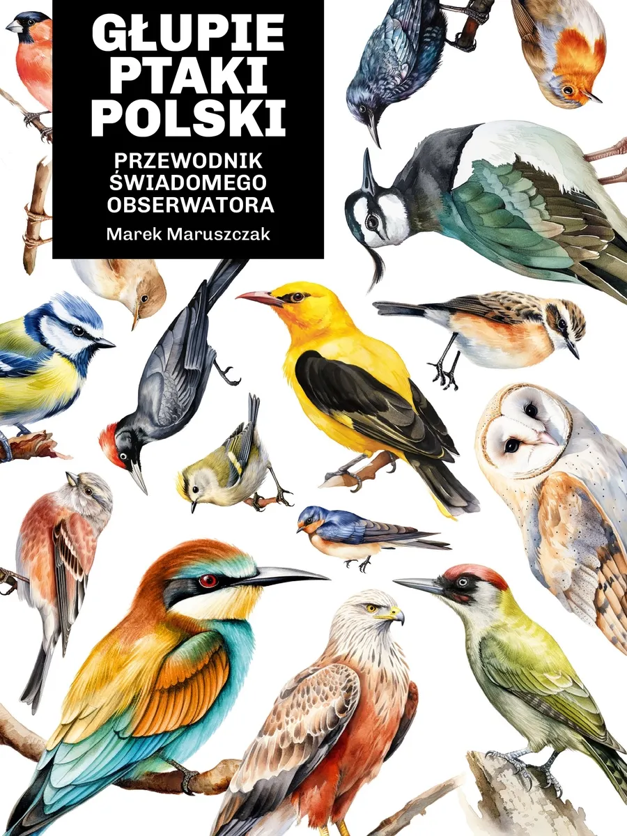 Głupie ptaki Polski