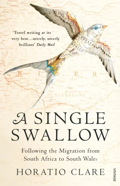 Single Swallow: Following An Epic Journey From South Africa To South Wales