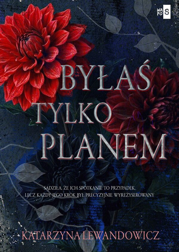Byłaś tylko planem