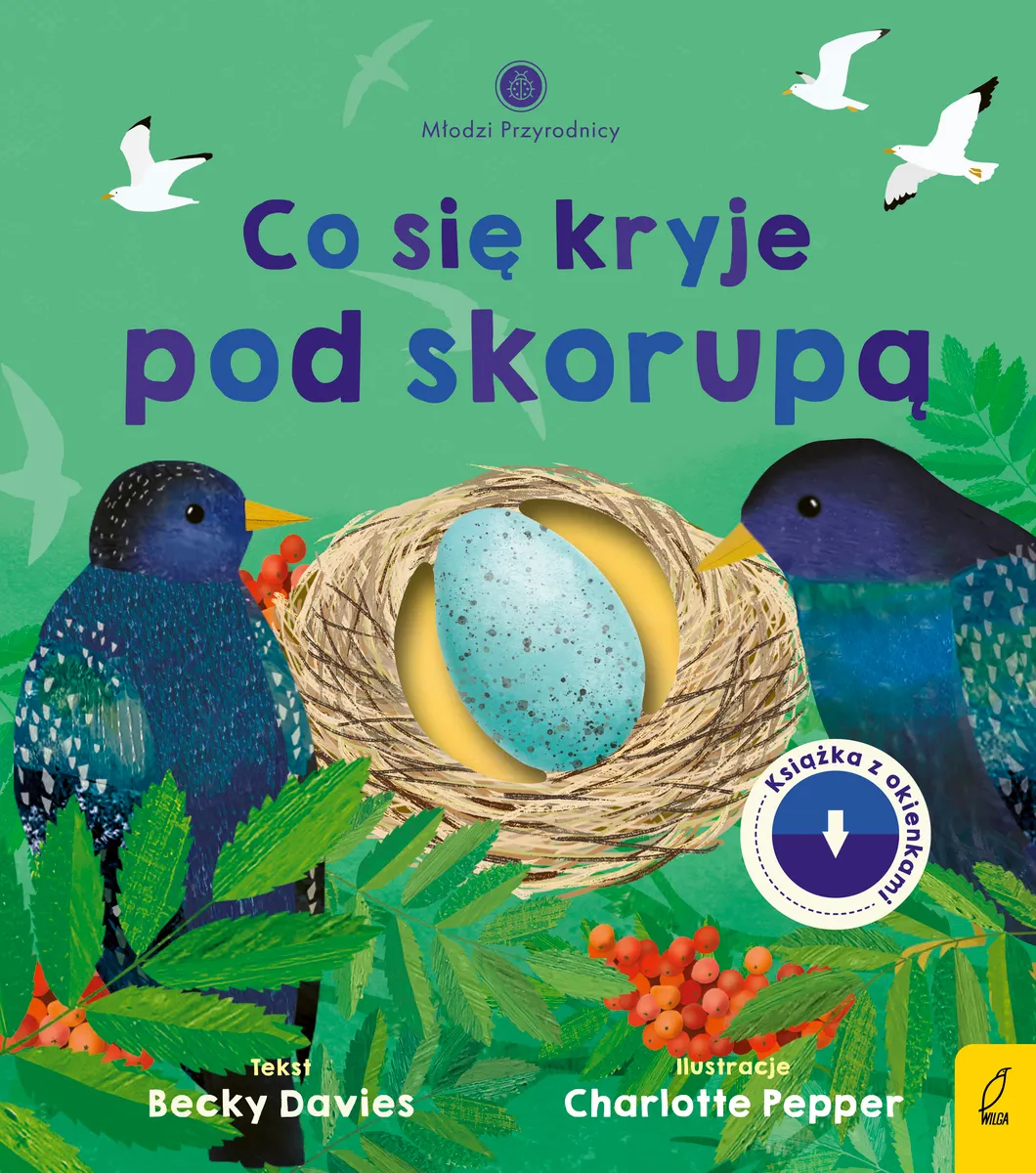 Co się kryje pod skorupą