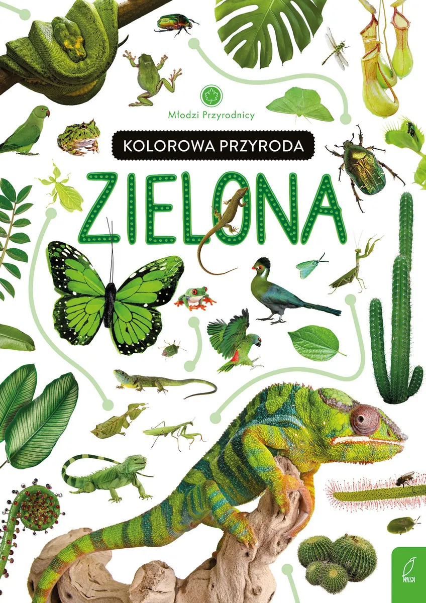 Kolorowa przyroda. Zielona