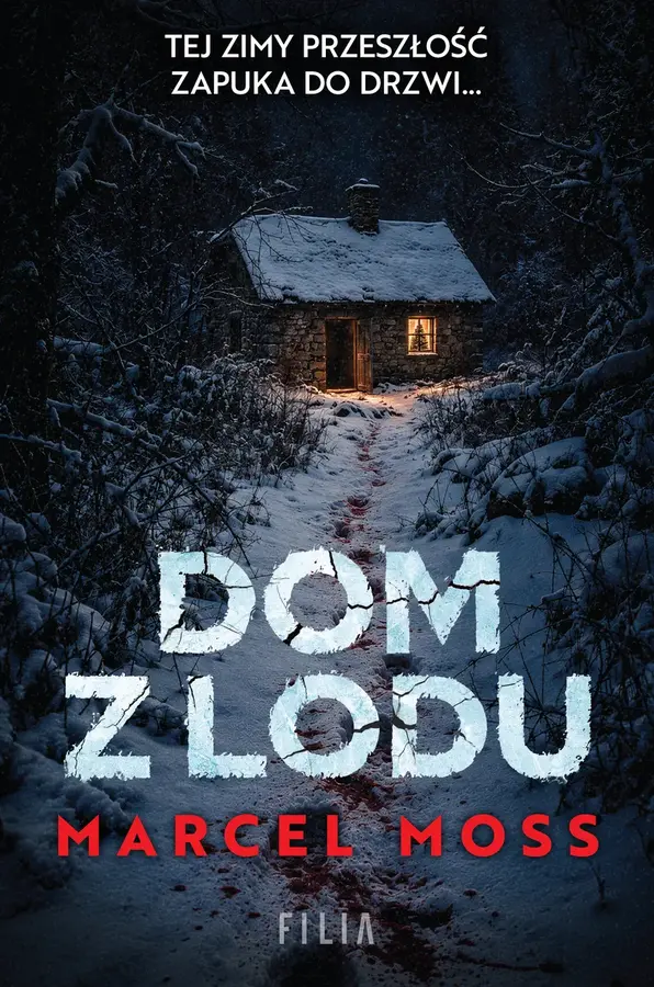 Dom z lodu
