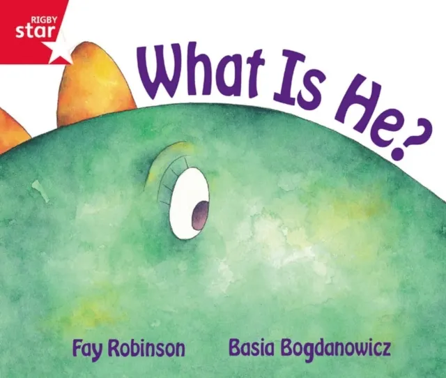 Guided Reception Red Level: What is He? Pupil Book