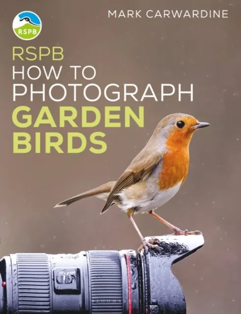 How to Photograph Garden Birds