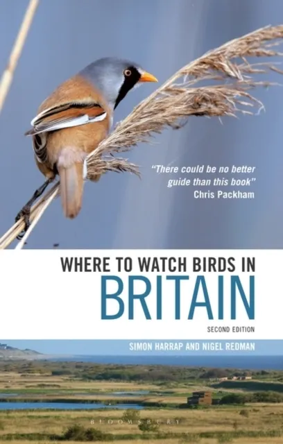 in Britain
