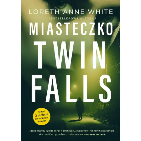 Miasteczko Twin Falls