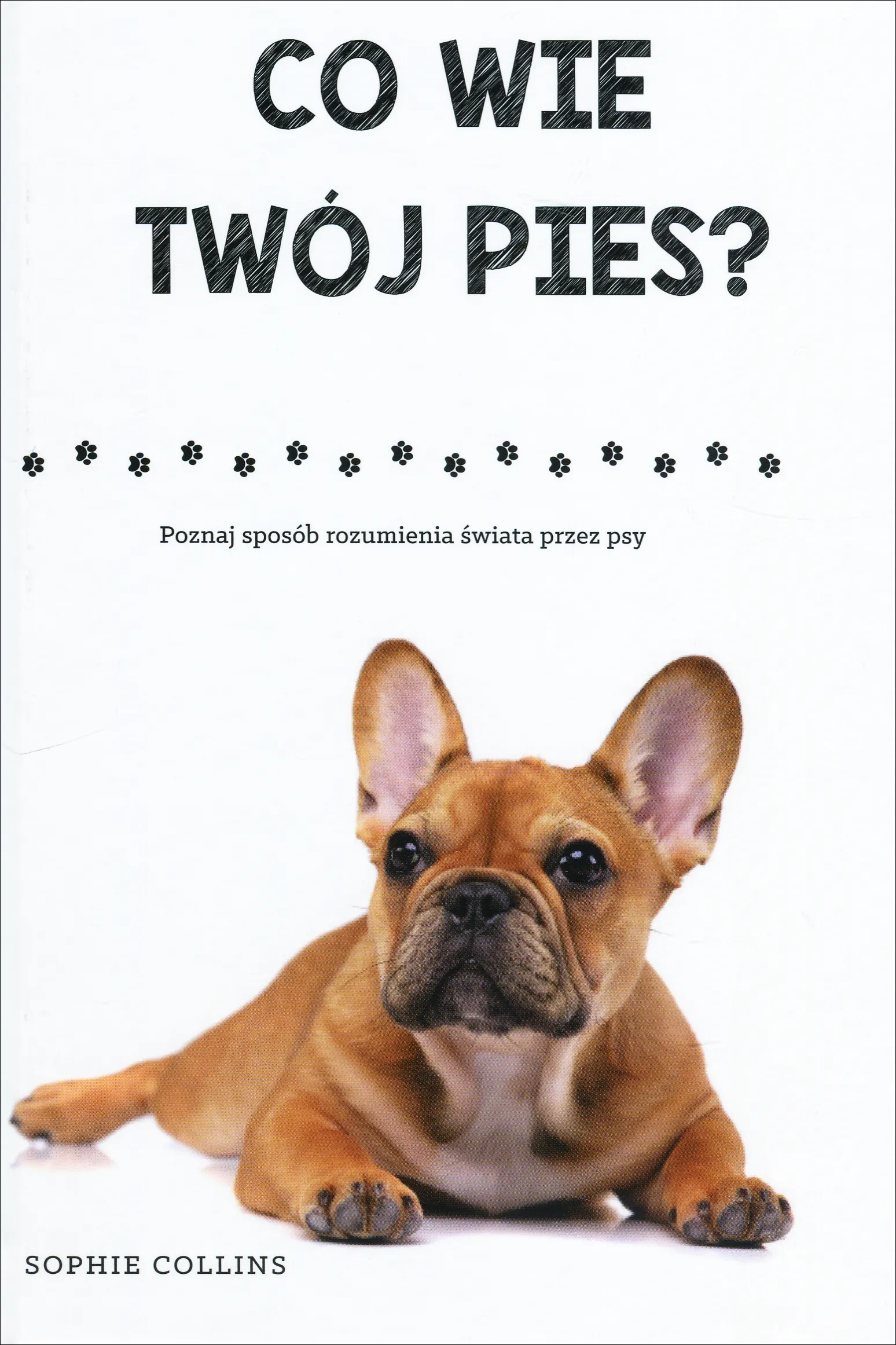 Co wie Twój pies?