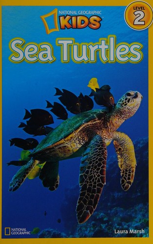 Sea Turtles