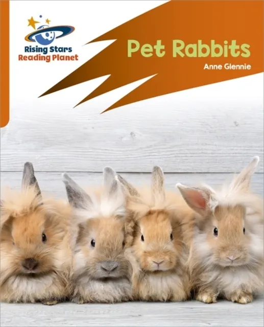 Pet Rabbits - Orange