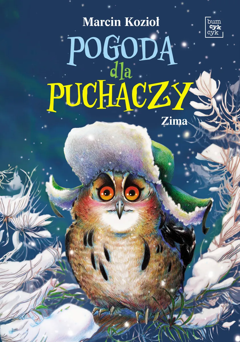 Pogoda dla puchaczy. Zima